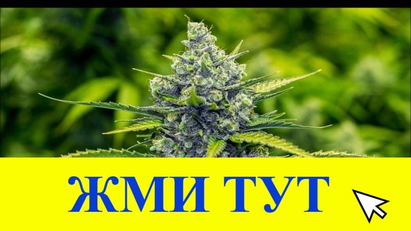 Купить наркотики в Воронеже