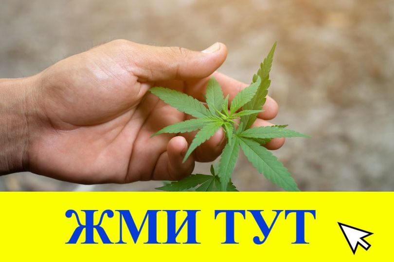 Купить наркотики в Воронеже